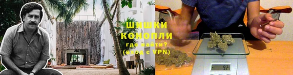 СК Касимов