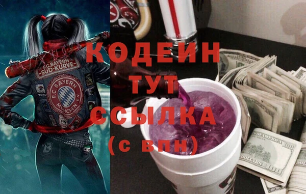 СК Касимов
