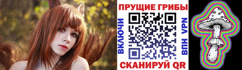 Галлюциногенные грибы MAGIC MUSHROOMS  Купить закладки  Меленки 